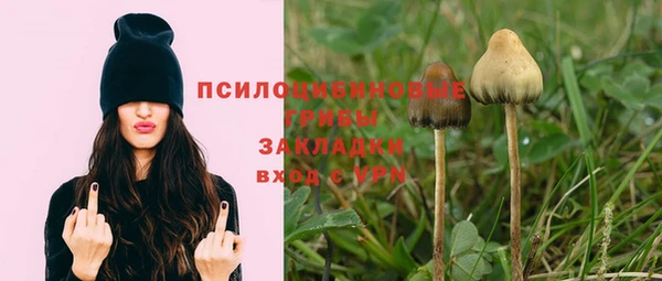 метадон Вяземский