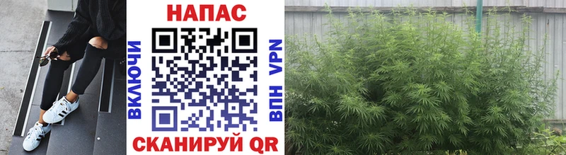 ссылка на мегу ТОР  купить закладку  Дальнегорск  Бошки Шишки VHQ 